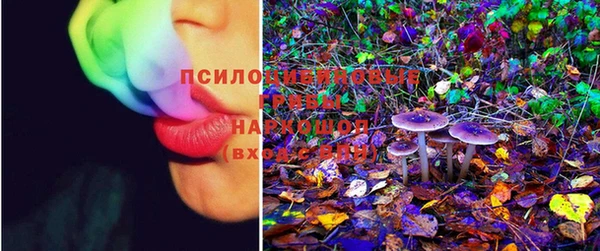 MESCALINE Аркадак