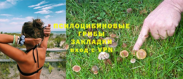 MESCALINE Аркадак
