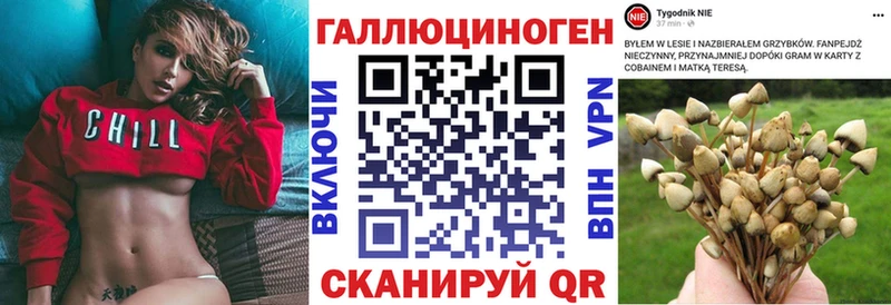 Галлюциногенные грибы Magic Shrooms  Купить  Новоалександровск 