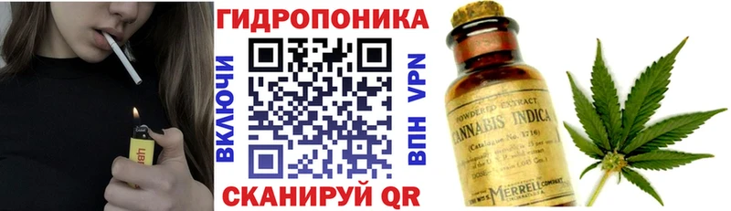 Купить где  Новоалександровск  МАРИХУАНА White Widow 
